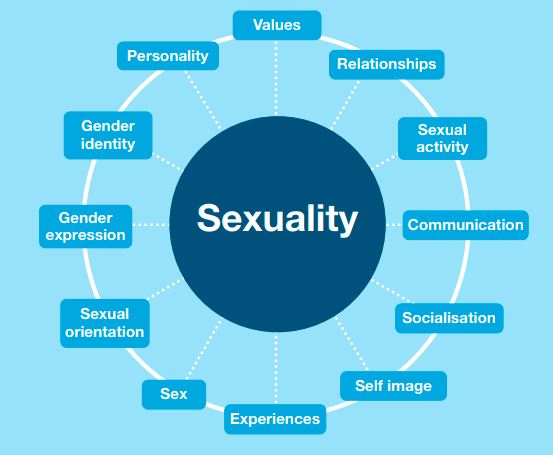 The Sexuality Wheel The Sexuality Wheel