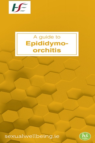 Epididymo orchitis